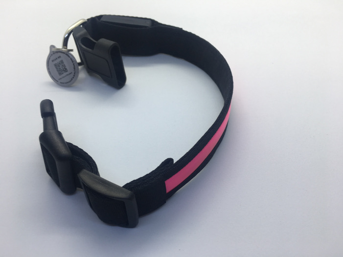 Dog collar led intelligent QR identifier
